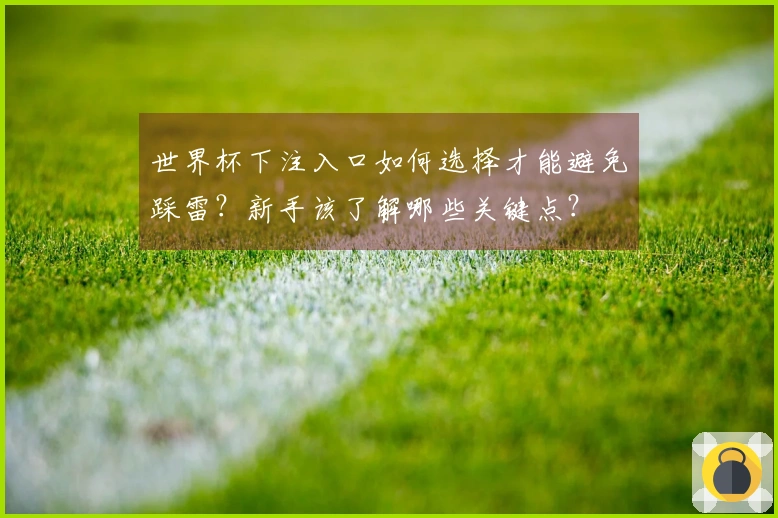 世界杯下注入口如何选择才能避免踩雷？新手该了解哪些关键点？