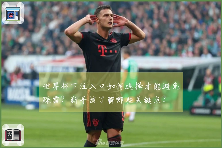 世界杯下注入口如何选择才能避免踩雷？新手该了解哪些关键点？