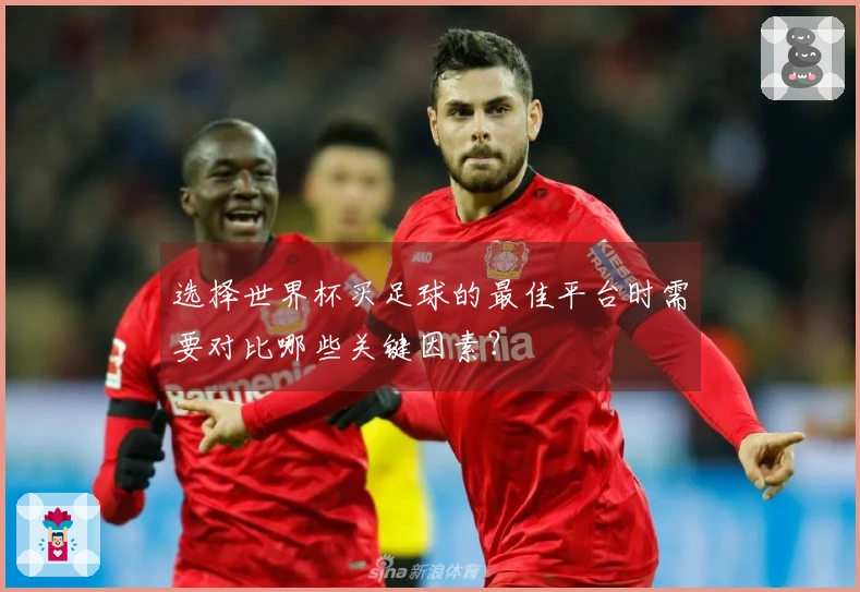 选择世界杯买足球的最佳平台时需要对比哪些关键因素？